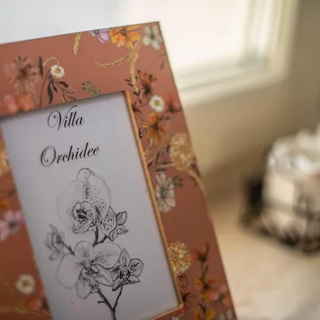 Βίλα Vila Orchidee Πόρετς