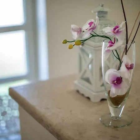 Vila Orchidee * Πόρετς